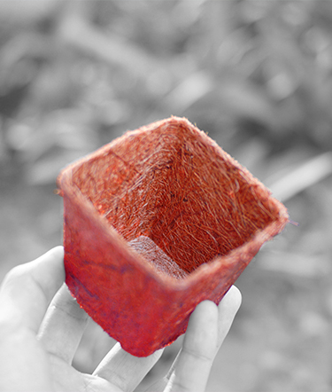 Hand holding a Jiffi pot on a blured grey background